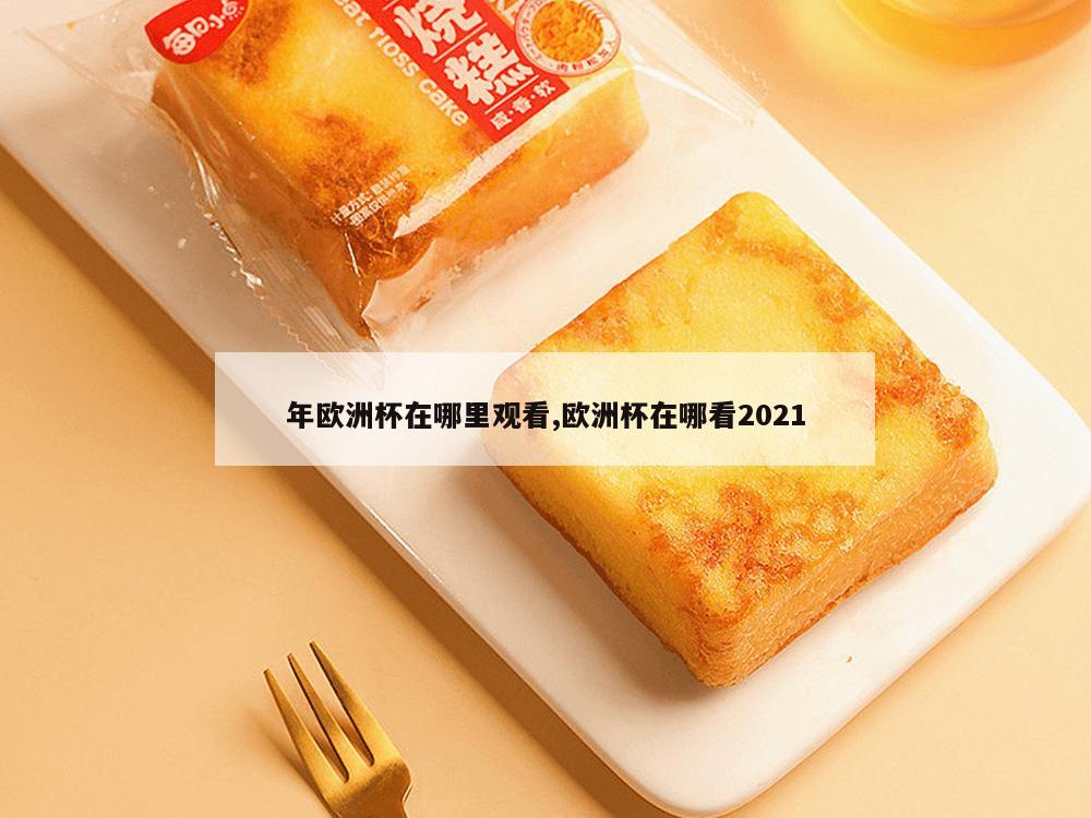 年欧洲杯在哪里观看,欧洲杯在哪看2021