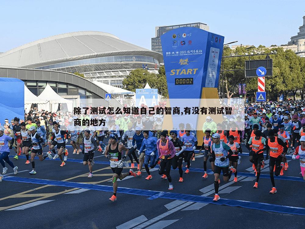 除了测试怎么知道自己的智商,有没有测试智商的地方