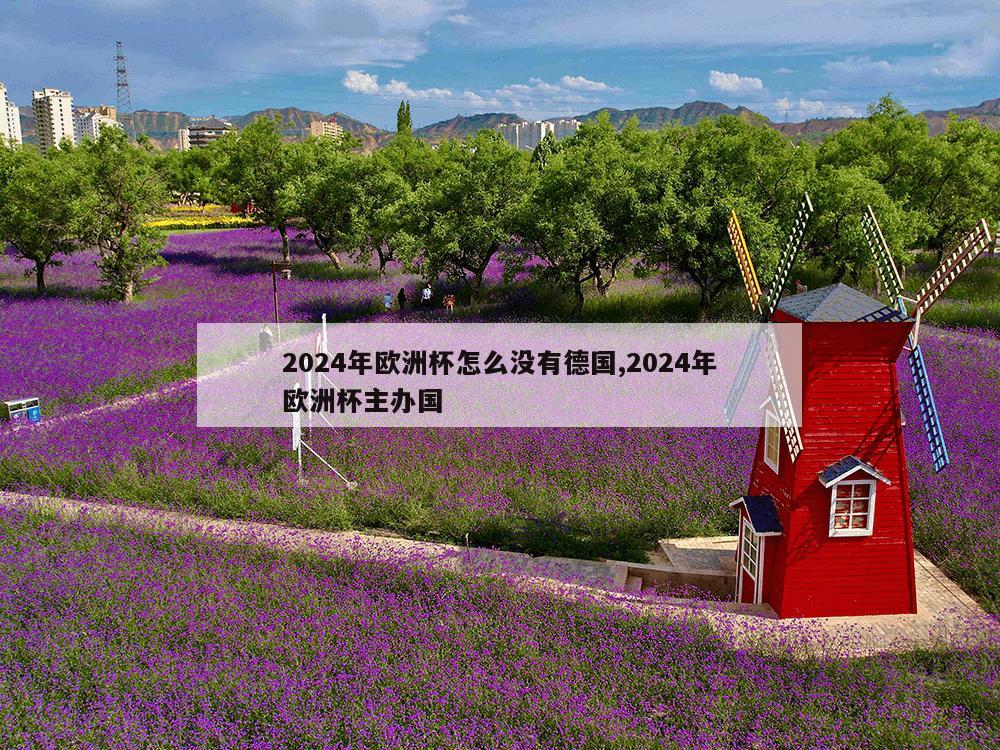 2024年欧洲杯怎么没有德国,2024年欧洲杯主办国