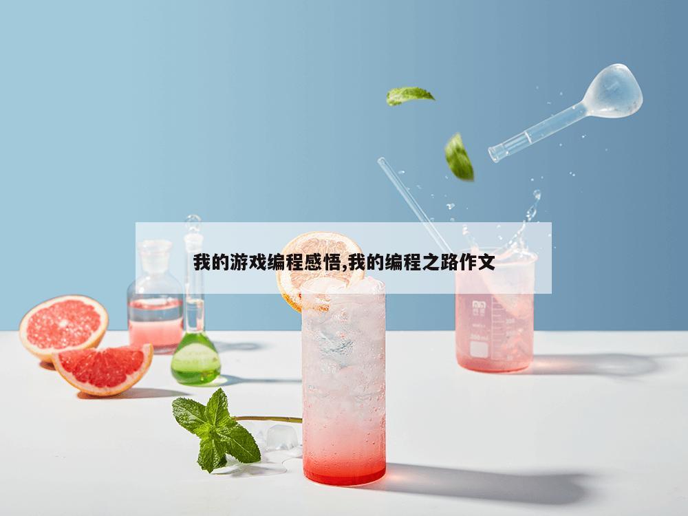 我的游戏编程感悟,我的编程之路作文