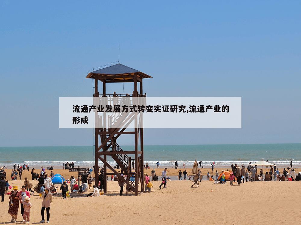 流通产业发展方式转变实证研究,流通产业的形成