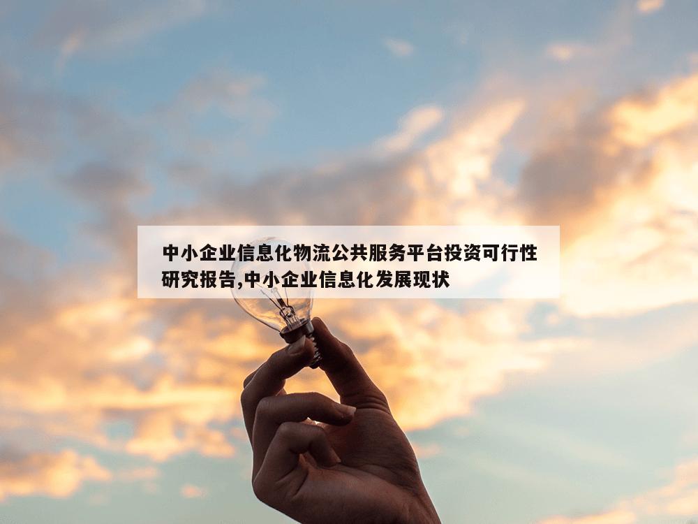 中小企业信息化物流公共服务平台投资可行性研究报告,中小企业信息化发展现状