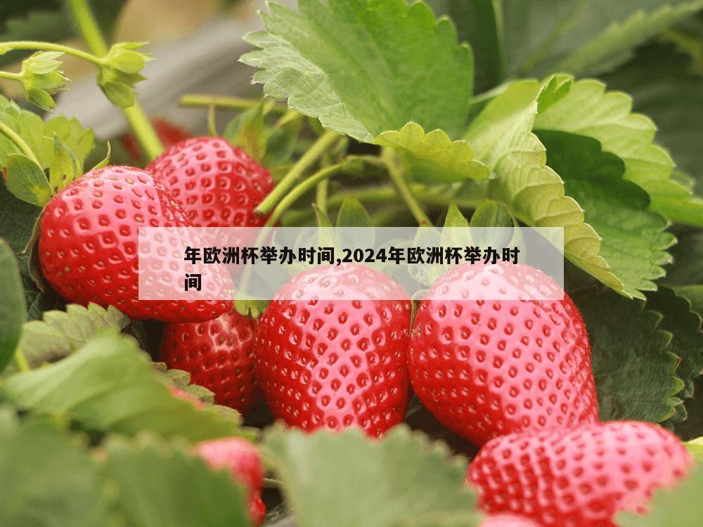 年欧洲杯举办时间,2024年欧洲杯举办时间