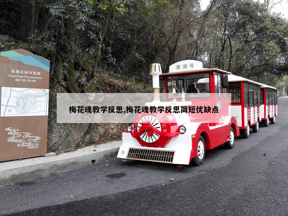 梅花魂教学反思,梅花魂教学反思简短优缺点