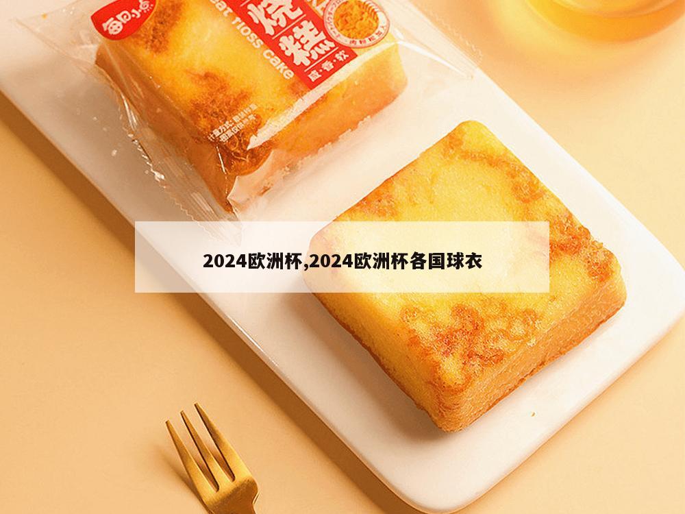 2024欧洲杯,2024欧洲杯各国球衣