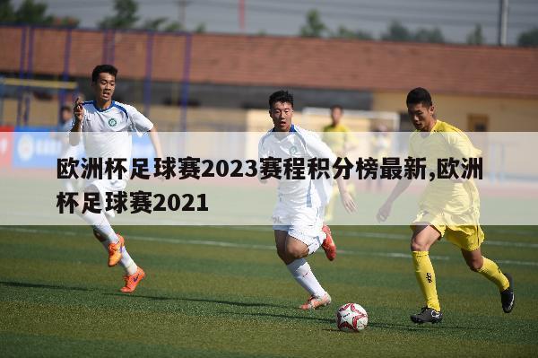 欧洲杯足球赛2023赛程积分榜最新,欧洲杯足球赛2021